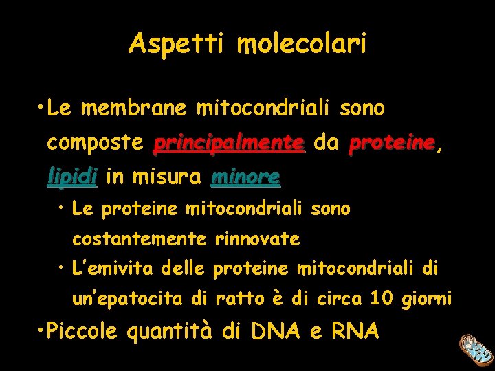 Aspetti molecolari • Le membrane mitocondriali sono composte principalmente da proteine, proteine lipidi in