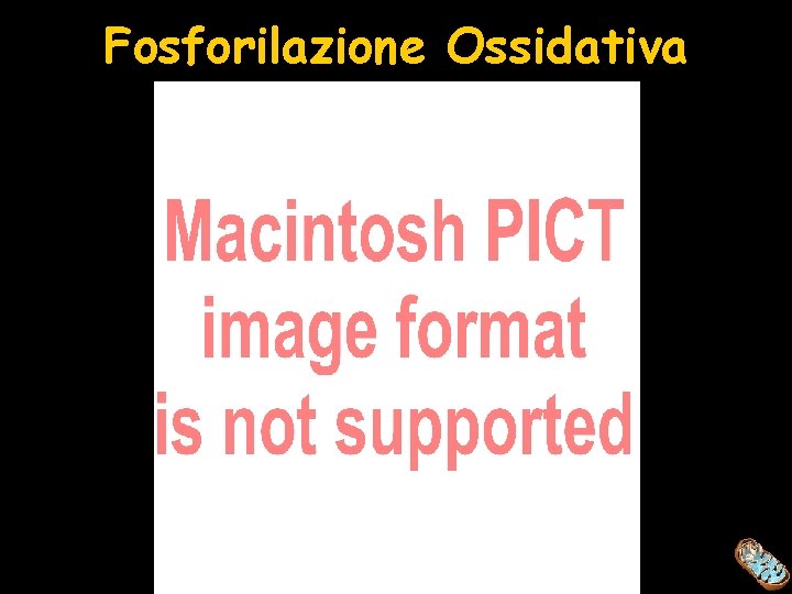 Fosforilazione Ossidativa 