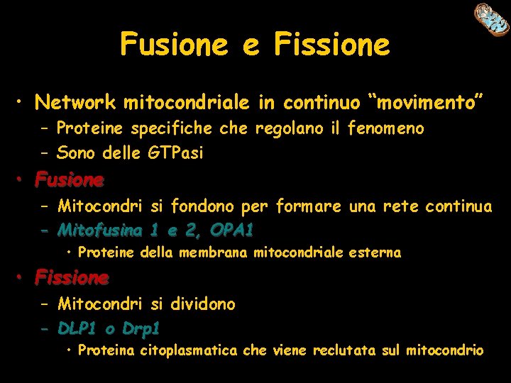 Fusione e Fissione • Network mitocondriale in continuo “movimento” – Proteine specifiche regolano il