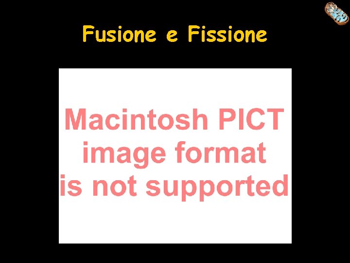 Fusione e Fissione 