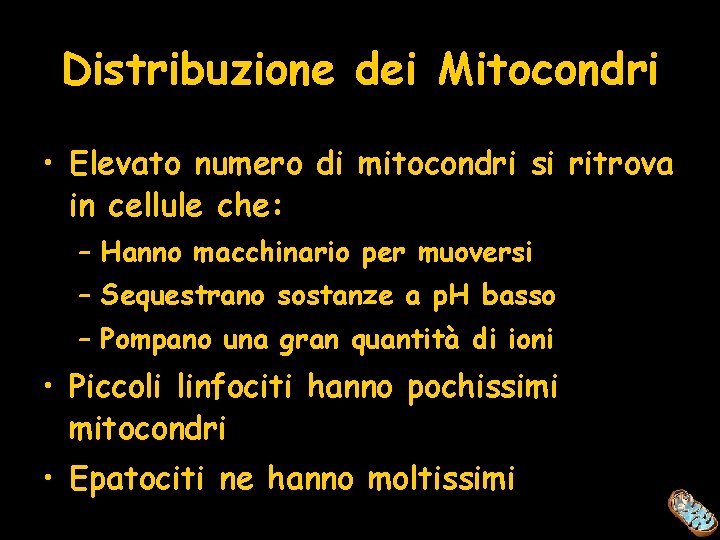 Distribuzione dei Mitocondri • Elevato numero di mitocondri si ritrova in cellule che: –