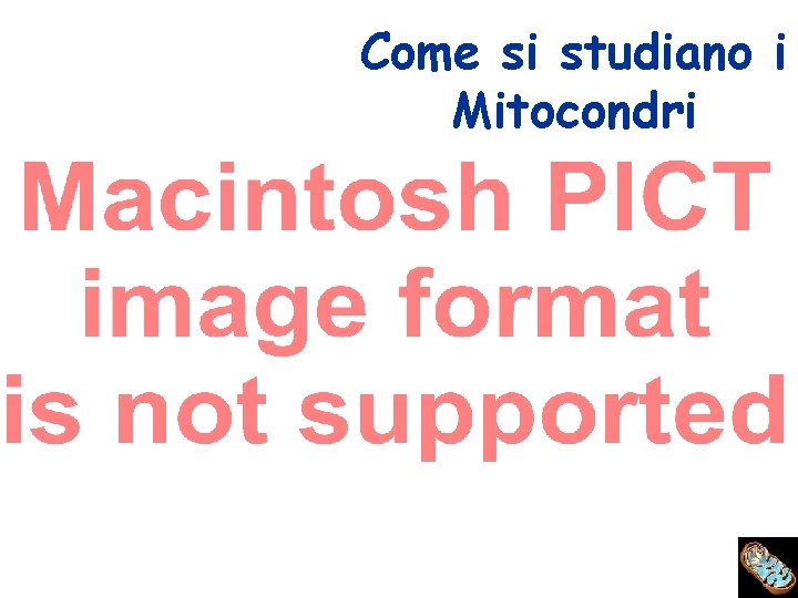 Come si studiano i Mitocondri 