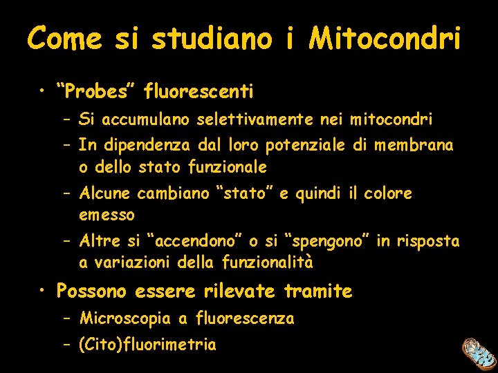 Come si studiano i Mitocondri • “Probes” fluorescenti – Si accumulano selettivamente nei mitocondri