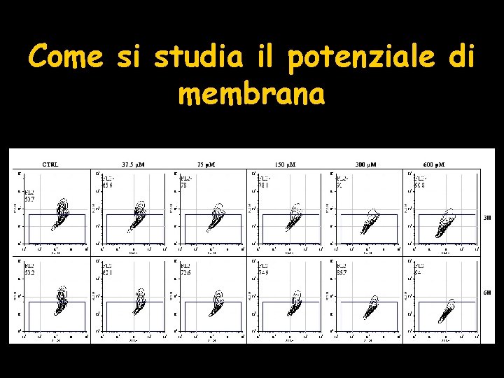 Come si studia il potenziale di membrana 