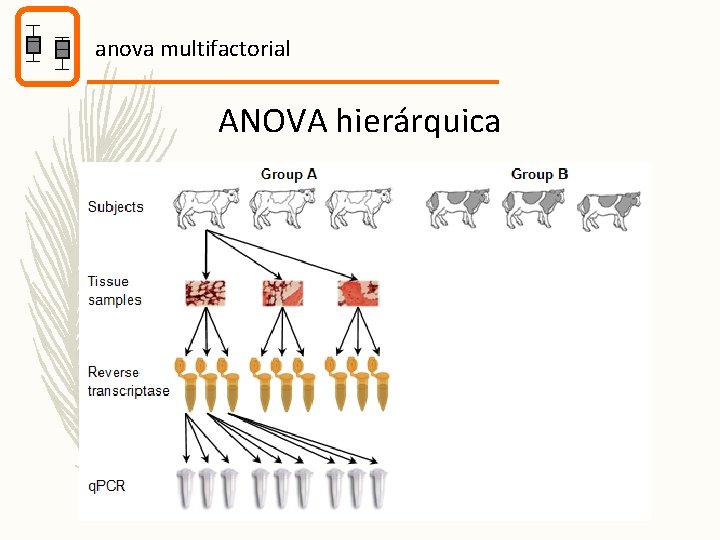 anova multifactorial ANOVA hierárquica 