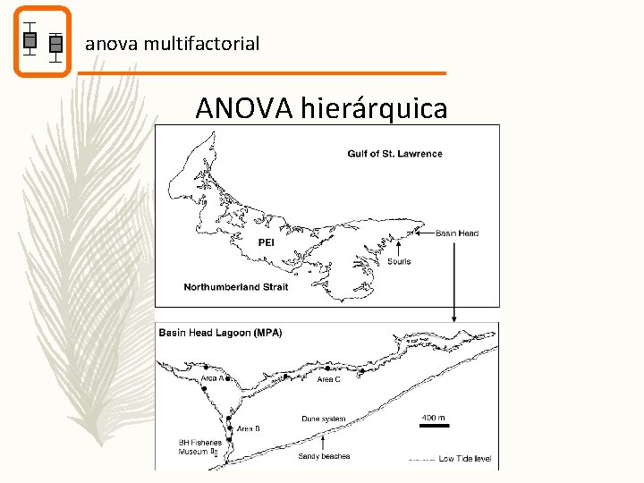 anova multifactorial ANOVA hierárquica 