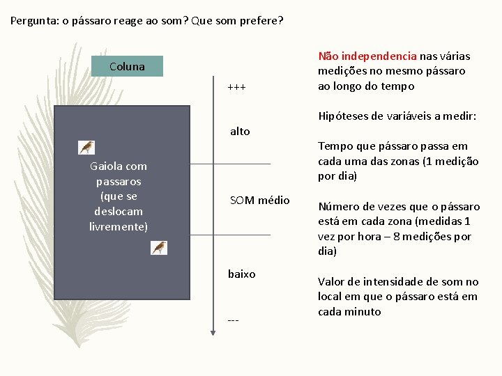 Pergunta: o pássaro reage ao som? Que som prefere? Coluna +++ alto Gaiola com