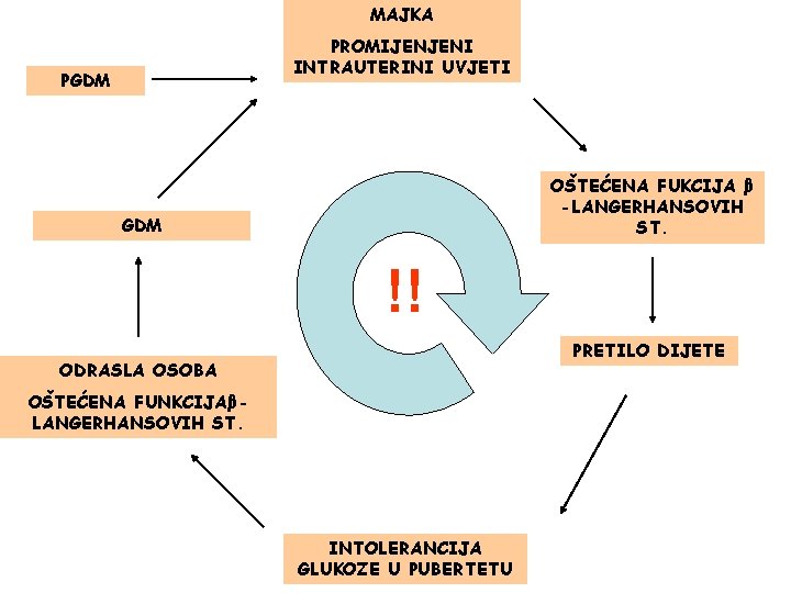 MAJKA PROMIJENJENI INTRAUTERINI UVJETI PGDM OŠTEĆENA FUKCIJA β -LANGERHANSOVIH ST. GDM !! PRETILO DIJETE