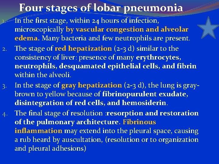 Four stages of lobar pneumonia In the first stage, within 24 hours of infection,
