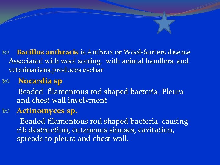  Bacillus anthracis is Anthrax or Wool-Sorters disease Associated with wool sorting, with animal