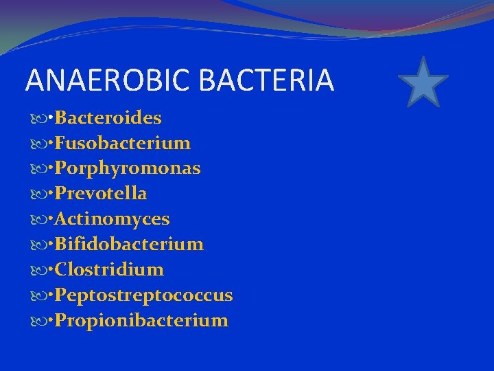 ANAEROBIC BACTERIA • Bacteroides • Fusobacterium • Porphyromonas • Prevotella • Actinomyces • Bifidobacterium