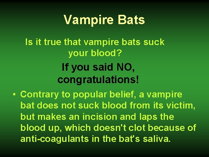 Vampire Bats Is it true that vampire bats suck your blood? If you said