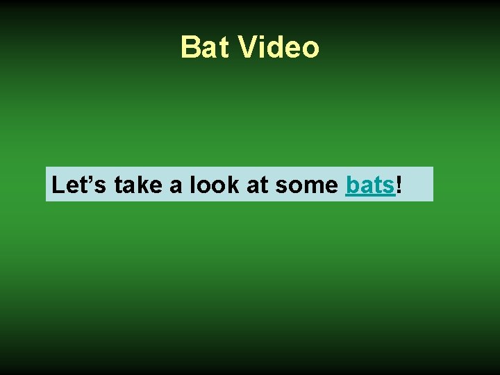 Bat Video Let’s take a look at some bats! 
