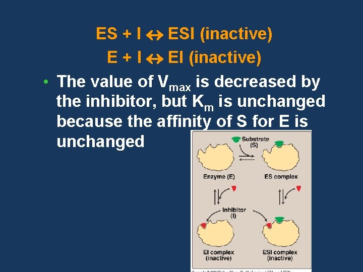 ES + I ESI (inactive) E + I EI (inactive) • The value of