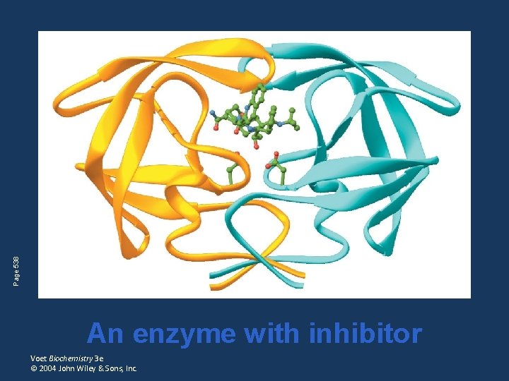 Page 538 An enzyme with inhibitor Voet Biochemistry 3 e © 2004 John Wiley