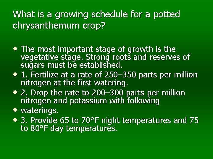 What is a growing schedule for a potted chrysanthemum crop? • The most important