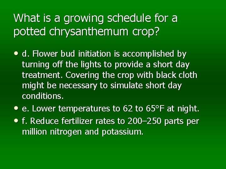 What is a growing schedule for a potted chrysanthemum crop? • d. Flower bud