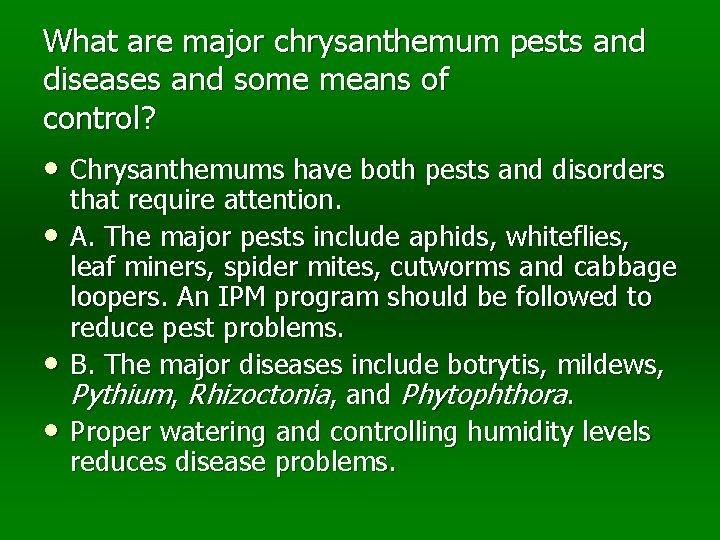 What are major chrysanthemum pests and diseases and some means of control? • Chrysanthemums