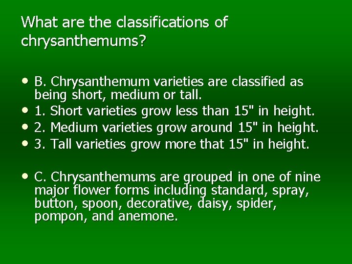 What are the classifications of chrysanthemums? • B. Chrysanthemum varieties are classified as •