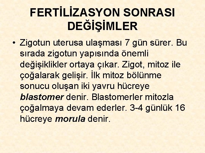 FERTİLİZASYON SONRASI DEĞİŞİMLER • Zigotun uterusa ulaşması 7 gün sürer. Bu sırada zigotun yapısında