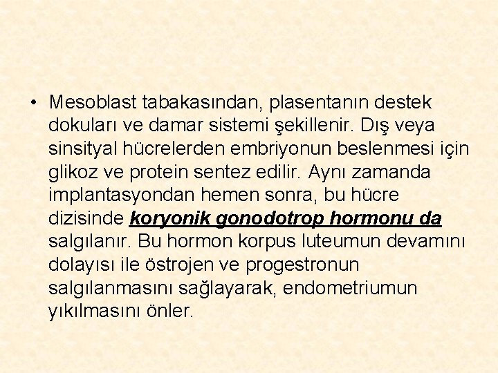  • Mesoblast tabakasından, plasentanın destek dokuları ve damar sistemi şekillenir. Dış veya sinsityal