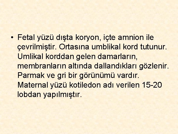  • Fetal yüzü dışta koryon, içte amnion ile çevrilmiştir. Ortasına umblikal kord tutunur.