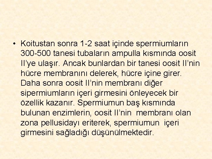  • Koitustan sonra 1 -2 saat içinde spermiumların 300 -500 tanesi tubaların ampulla