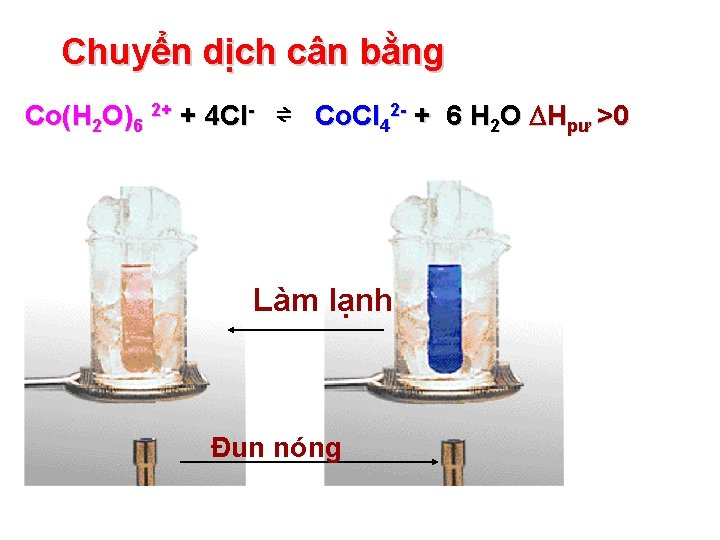 Chuyển dịch cân bằng Co(H 2 O)6 2+ + 4 Cl- ⇌ Co. Cl