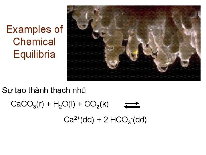 Examples of Chemical Equilibria Sự tạo thành thạch nhũ Ca. CO 3(r) + H