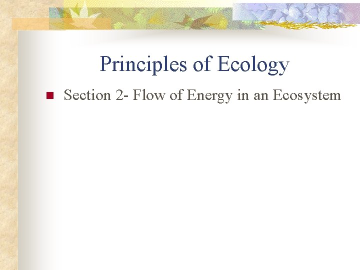Principles of Ecology n Section 2 - Flow of Energy in an Ecosystem 