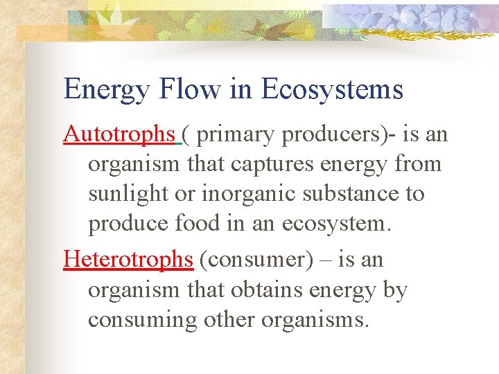 Energy Flow in Ecosystems Autotrophs ( primary producers)- is an organism that captures energy