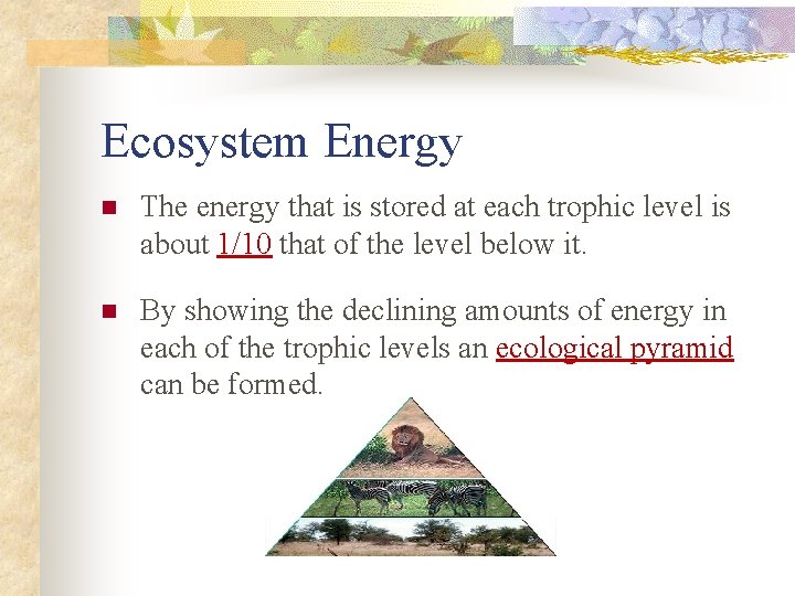 Ecosystem Energy n The energy that is stored at each trophic level is about