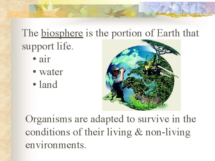 The biosphere is the portion of Earth that support life. • air • water