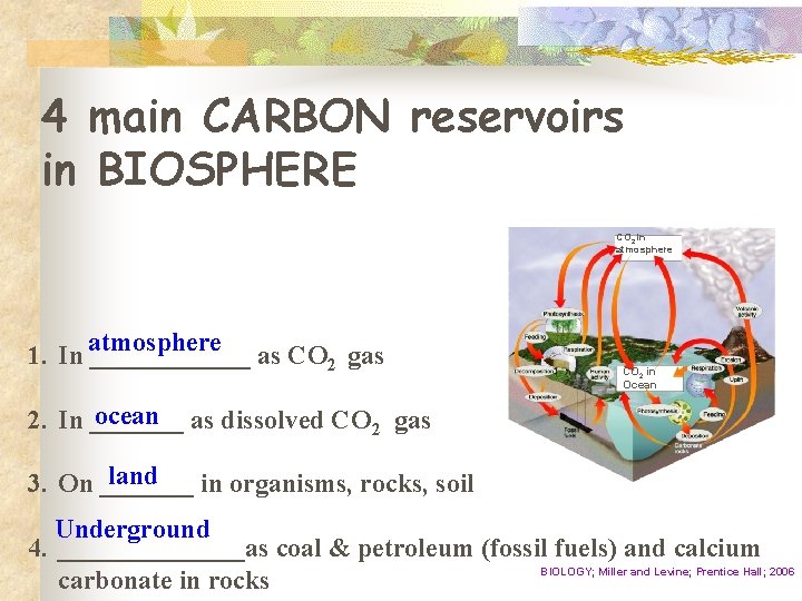 4 main CARBON reservoirs in BIOSPHERE CO 2 in atmosphere 1. In atmosphere ______
