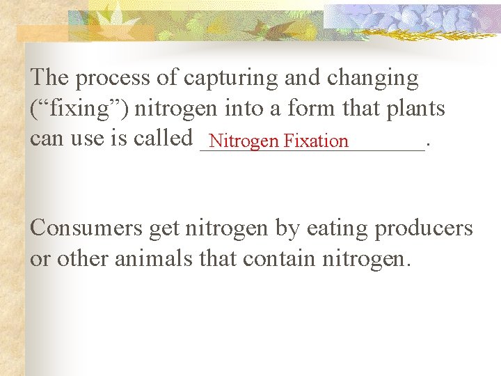 The process of capturing and changing (“fixing”) nitrogen into a form that plants can