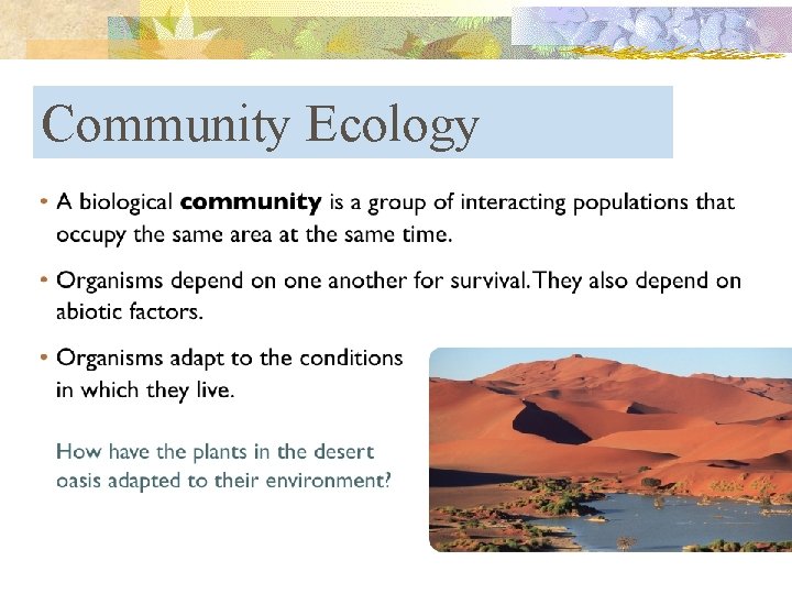 Community Ecology 