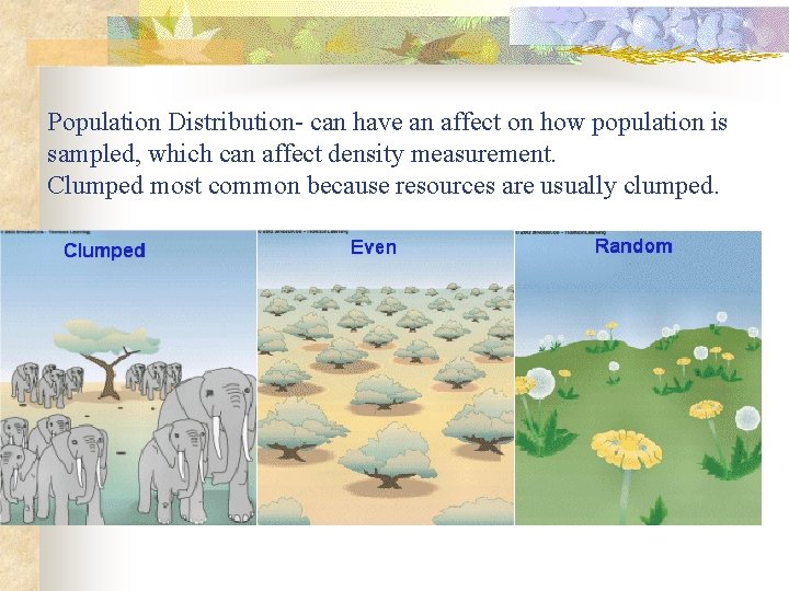 Population Distribution- can have an affect on how population is sampled, which can affect