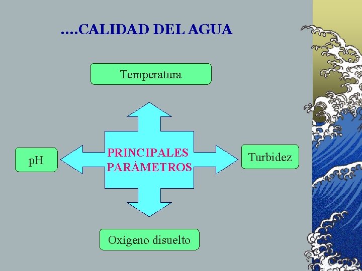 . . CALIDAD DEL AGUA Temperatura p. H PRINCIPALES PARÁMETROS Oxígeno disuelto Turbidez 