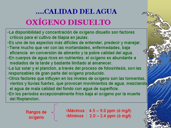. . CALIDAD DEL AGUA OXÍGENO DISUELTO • La disponibilidad y concentración de oxígeno . . CALIDAD DEL AGUA OXÍGENO DISUELTO • La disponibilidad y concentración de oxígeno