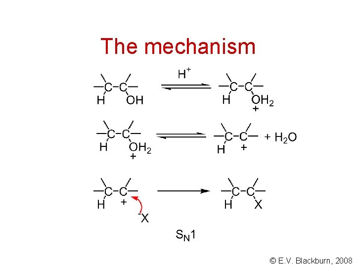 The mechanism © E. V. Blackburn, 2008 