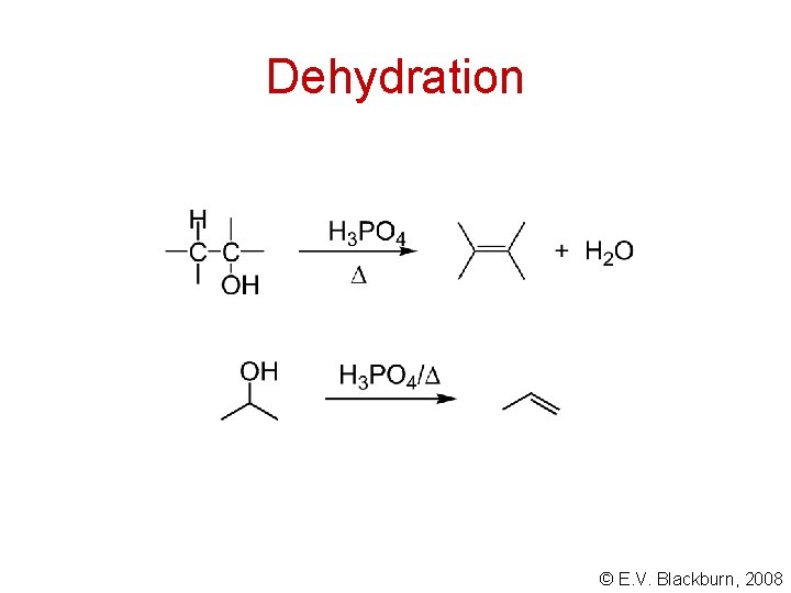Dehydration © E. V. Blackburn, 2008 