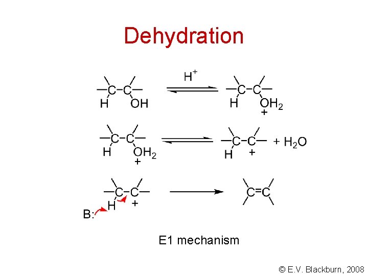 Dehydration E 1 mechanism © E. V. Blackburn, 2008 