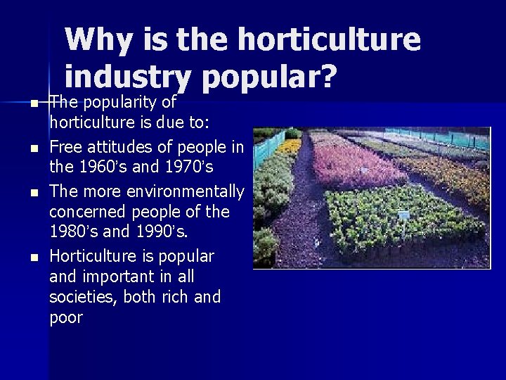 Why is the horticulture industry popular? n n The popularity of horticulture is due