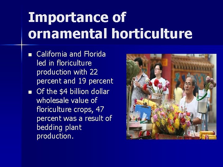 Importance of ornamental horticulture n n California and Florida led in floriculture production with