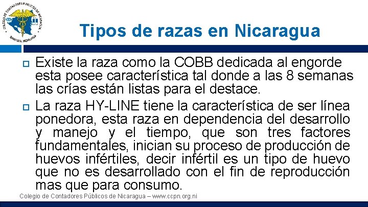 Tipos de razas en Nicaragua Existe la raza como la COBB dedicada al engorde