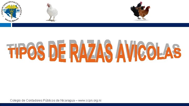 Colegio de Contadores Públicos de Nicaragua – www. ccpn. org. ni 