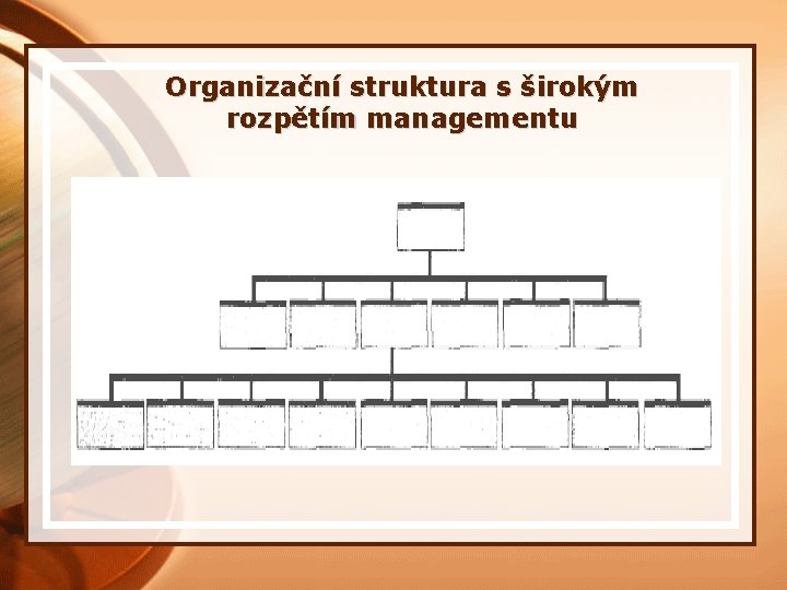 Organizační struktura s širokým rozpětím managementu 