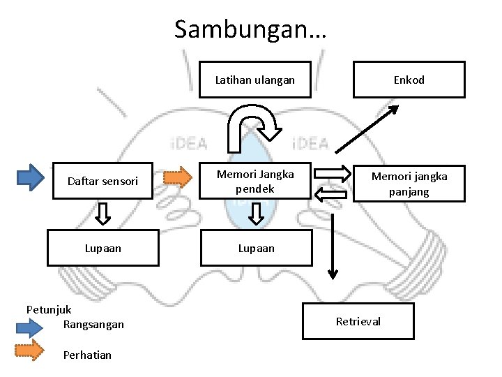 Sambungan… Latihan ulangan Enkod Daftar sensori Memori Jangka pendek Memori jangka panjang Lupaan Petunjuk Sambungan… Latihan ulangan Enkod Daftar sensori Memori Jangka pendek Memori jangka panjang Lupaan Petunjuk
