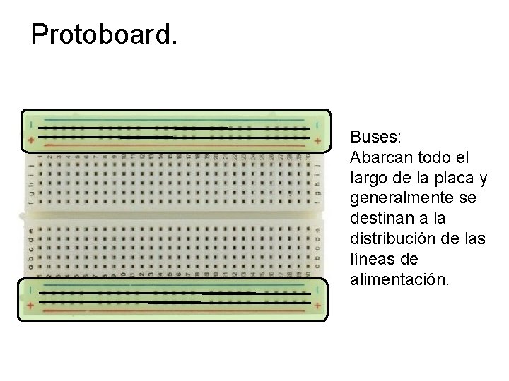 Protoboard. Buses: Abarcan todo el largo de la placa y generalmente se destinan a