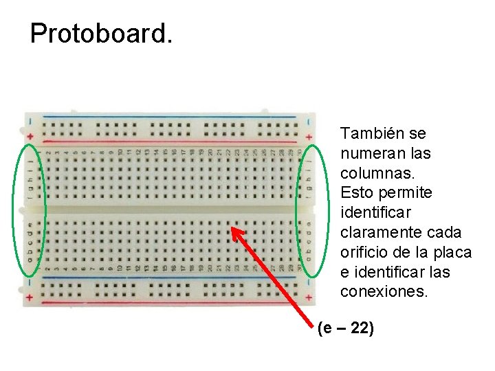 Protoboard. También se numeran las columnas. Esto permite identificar claramente cada orificio de la